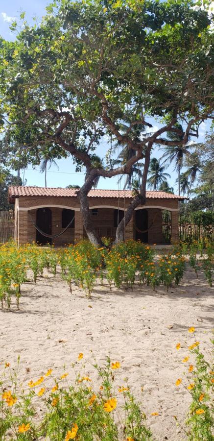 ז'יז'וקה דה ז'ריקואקוארה Pousada Vila Mangue Seco מראה חיצוני תמונה