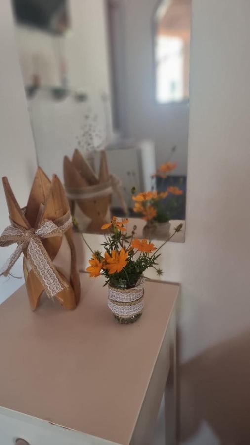 ז'יז'וקה דה ז'ריקואקוארה Pousada Vila Mangue Seco מראה חיצוני תמונה